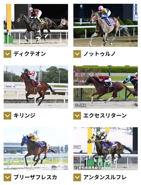 名古屋グランプリjpng2🏇5月6日名古屋競馬場🐴｜ボヘミアン⚾カープatelier Capricorn🐎