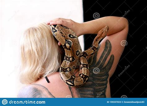 Snake On Female Shoulder And Hand Part Woman Naked Body Boa