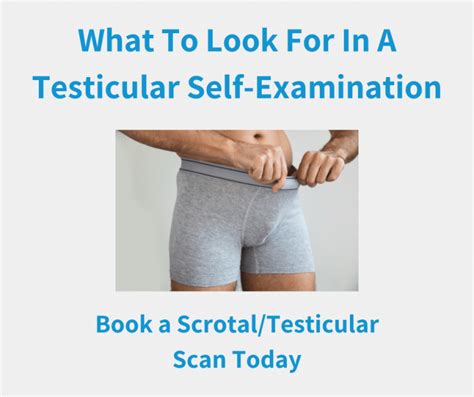 What To Look For In A Testicular Self Exam Ultrasound Care