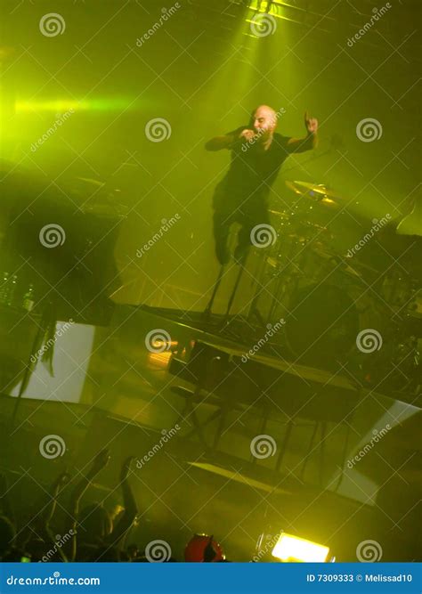 Negramaro concert editorial stock photo. Image of boys - 7309333