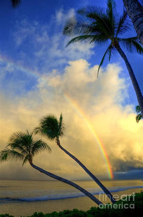 Rainbow Sunrise by Kelly Wade | Scenery, Sunrise art, Beautiful nature