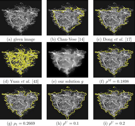 Figure 41 From Image Segmentation By Convex Approximation Of The