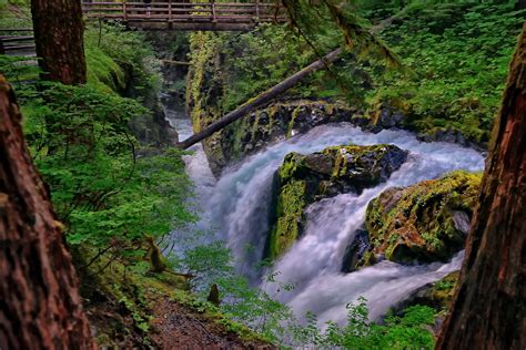 Stream Sol Duc Falls Olympic National Park Sol Duc River 1080P