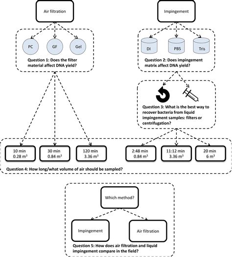 Bioaerosols Bioaerosol Fungi Bacteria