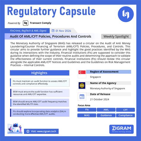 Audit Of AML CFT Policies Procedures And Controls ZIGRAM The Best