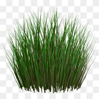 Green Grass PNG Image