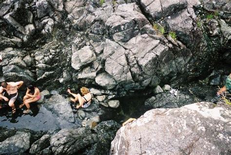 Hot Springs Cove Tofino All You Need To Know Before You Go With Photos TripAdvisor