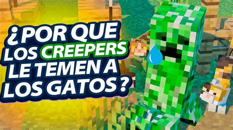 Por Que Los CREEPERS Le Temen A LOS GATOS YouTube