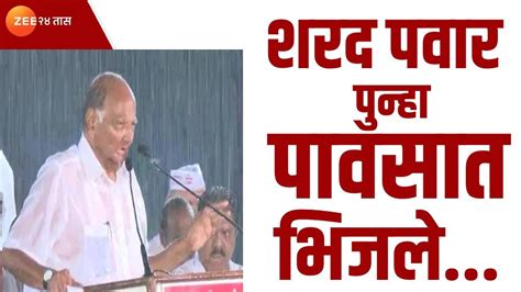 Sharad Pawar In Rain शरद पवार पुन्हा पावसात भिजले पाहा व्हिडीओ Zee