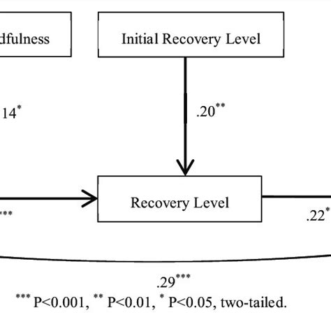 Msem Results For The Theoretical Model Download Scientific Diagram