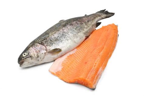 Salmon Vs Trout What Are The Differences Fishstainable