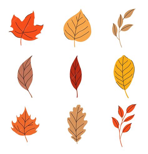 Premium Vector Autumn Leaves Set Isolated On White Background