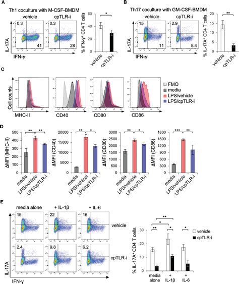 Frontiers Cell Penetrating TLR Inhibitor Peptide Alleviates