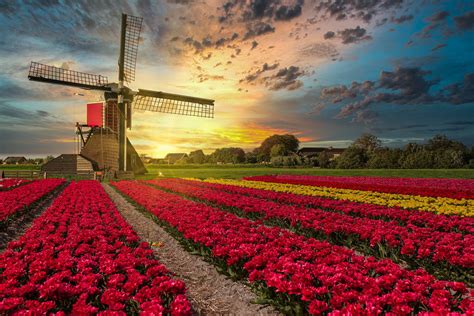 Top 999 Netherlands Wallpapers Full Hd 4k Free To Use