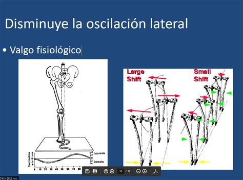 Blog De Conocimientos Biológicos Silvia Nieto Actividades De La