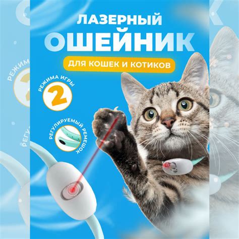 ошейник с лазерной указкой для кошек и котов - купить с доставкой по ...