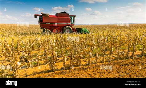 Maize Farm South Africa High Resolution Stock Photography and Images ...