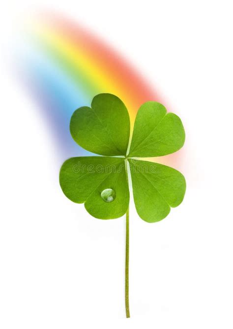 Shamrock And Rainbow Stock Image Image Of Irish Leaf 18548751