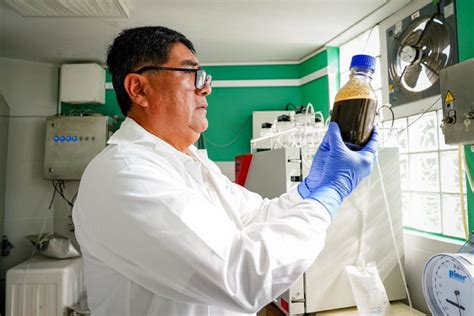 Investigadores Crean Biofertilizante Líquido Con Alto Potencial Para