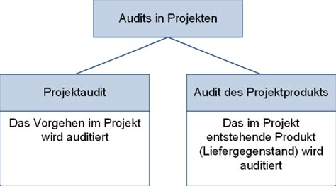 Das Projektaudit Peterjohann Consulting