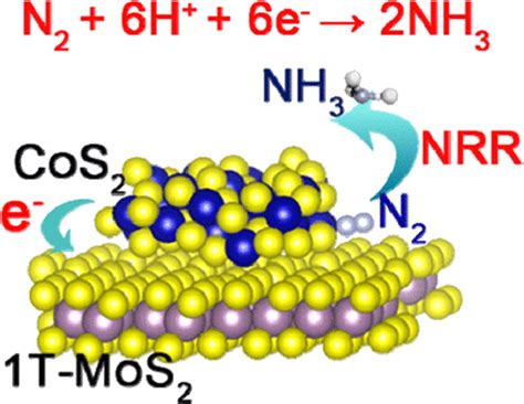 1t Mos2 纳米片与 Cos2 纳米颗粒耦合：用于高效电化学固氮的电子调制inorganic Chemistry X Mol