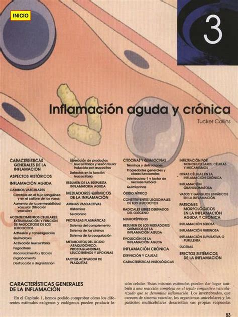 Inflamación aguda y crónica Oscar Solorzano Samame uDocz