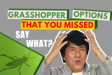 Grasshopper Options That You Missed Learn Grasshopper Now