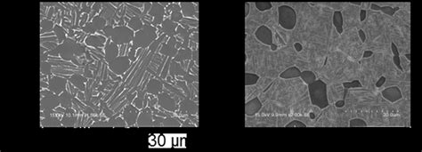 Sem Micrographs Of Ti 6al 7nb Alloy With A Sta Treatment And With B Download Scientific