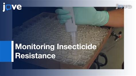 Bioassays For Monitoring Insecticide Resistance L Protocol Preview Youtube