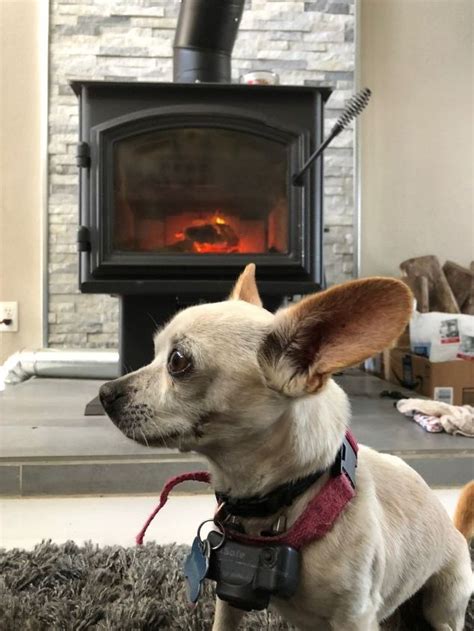 Diy Hearth Pad For Wood Stove Hometalk