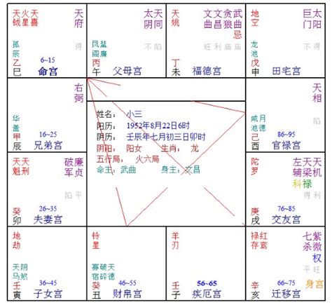 壬年命宫在巳宫紫微星在亥宫 小三《紫微命例》 今日推荐