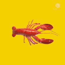 Lobster Blue Lobster Meme GIF - Lobster Blue Lobster Meme Blue Lobster ...