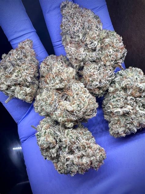 Yuzu Minth By Prohibition Farmsaaaasuperquad Greenland Botanicals