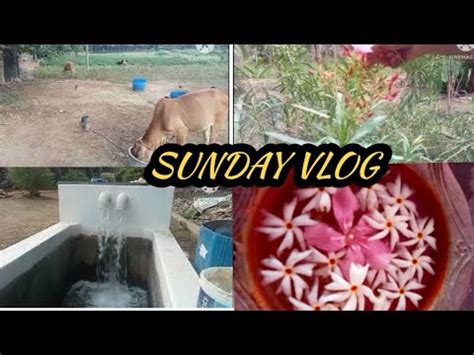 Vlog Sunday Vlog Summa Oru Random Routine Vlog Village Life Style