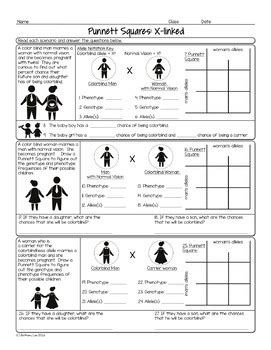 Sex Linked Trait Punnett Squares Biology Homework Worksheet TpT