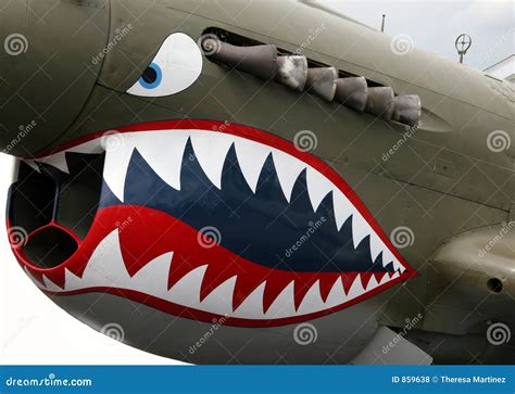 Shark Teeth Nose Art