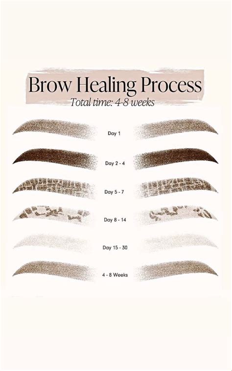 Mircoblading Eyebrows Ombre Eyebrows Eyebrow Makeup Tips Permanent