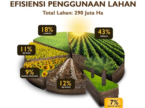 Industri Sawit Dan Upaya Nyata Sawit Yang Berkelanjutan