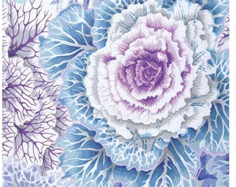 Kaffe Fassett Fabric Phillip Jacobs Brassica Pj Sky Blue Etsy