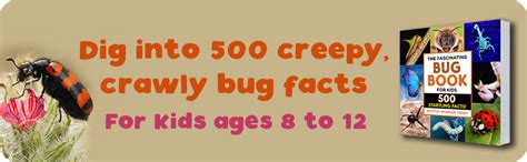 The Fascinating Bug Book for Kids: 500 Startling Facts! (Fascinating Facts): Toney, Krystal ...