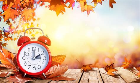 When Do Clocks Fall Back Nz Joane Lyndsay