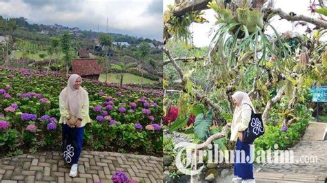 Wisata Dusun Kuliner Kota Batu Bak Negeri Dongeng Ada Taman Bunga