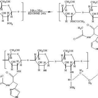 Synthetic Pathway Of Arginine And N Acetyl Histidine Modified Chitosan