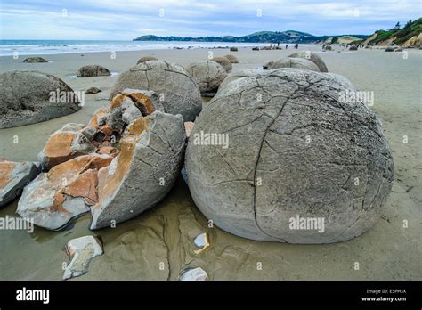 The Moeraki Boulders Located In Koekohe Beach New Zealand Are A