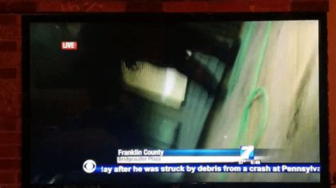 Go Fuck Your Mother Tag PrimoGIF