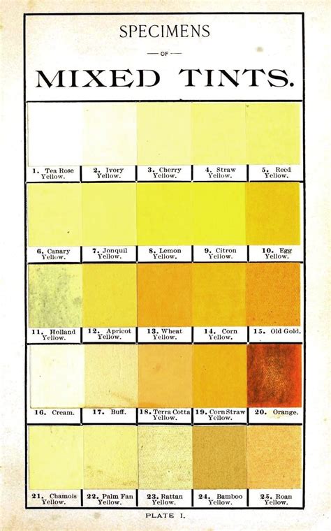 Hints on tints and how to mix them : illustrated by one hundred and ...