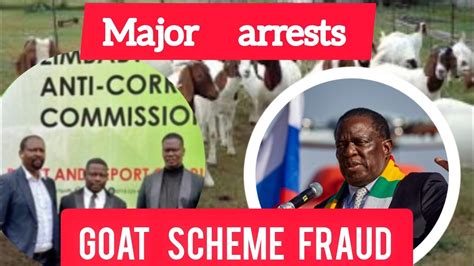 Million Dollar Fraud Case Chimombe Mpofu Appear In Court Youtube