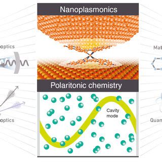 Experiments Demonstrating Collective Strong Light Matter Coupling A