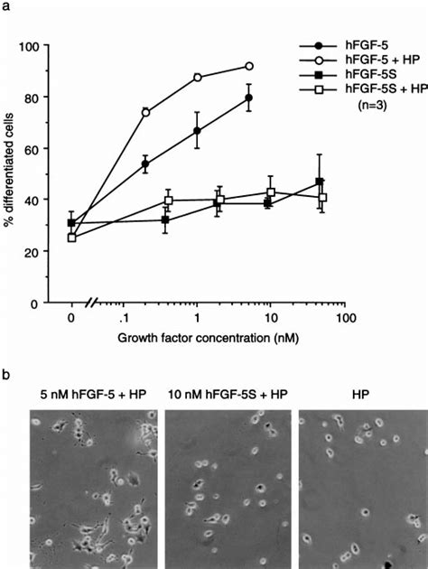 Immobilized Heparin Affinity Chromatography Of HFGF 5S And HFGF 5