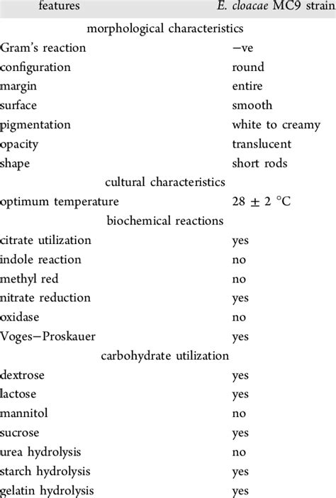 Microbiological Morphological And Biochemical Features Of Isolated